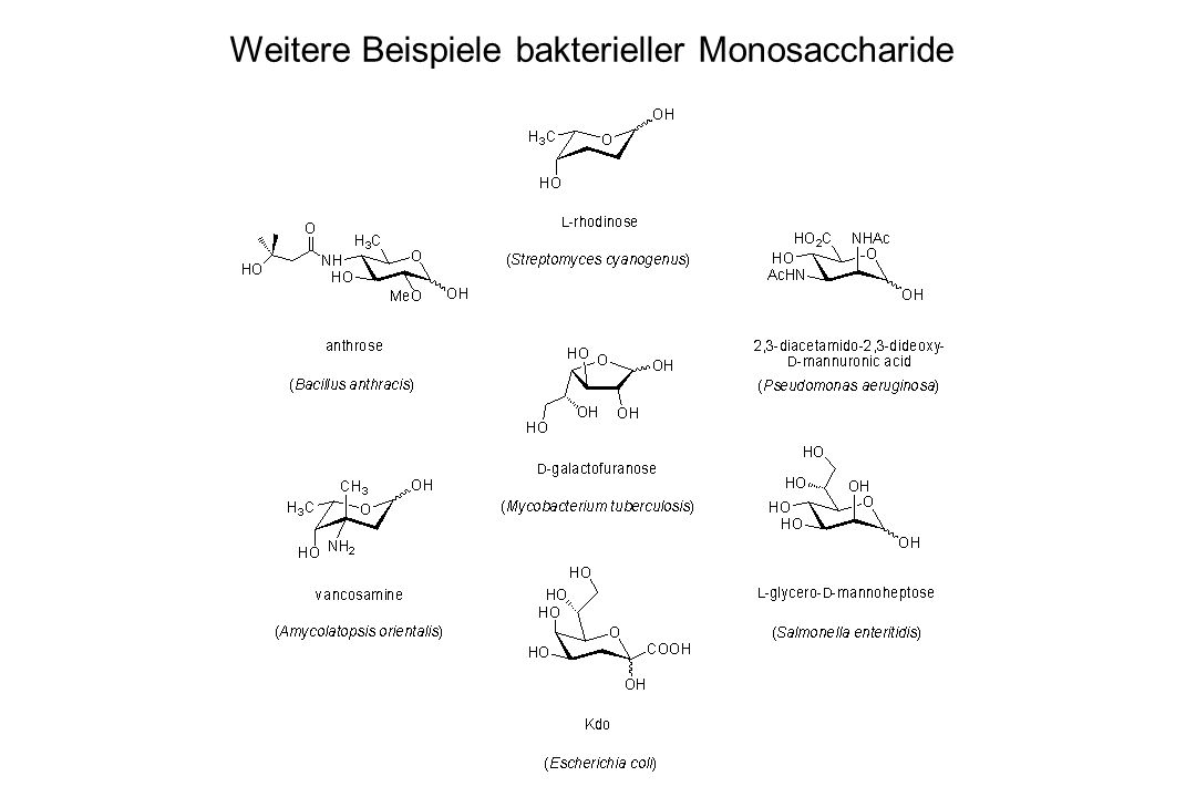 Weitere Beispiele bakterieller Monosaccharide