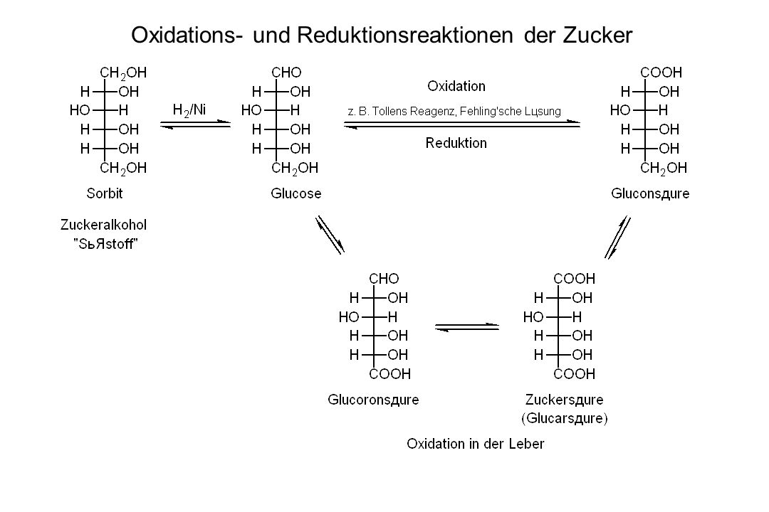 Oxidations- und Reduktionsreaktionen der Zucker