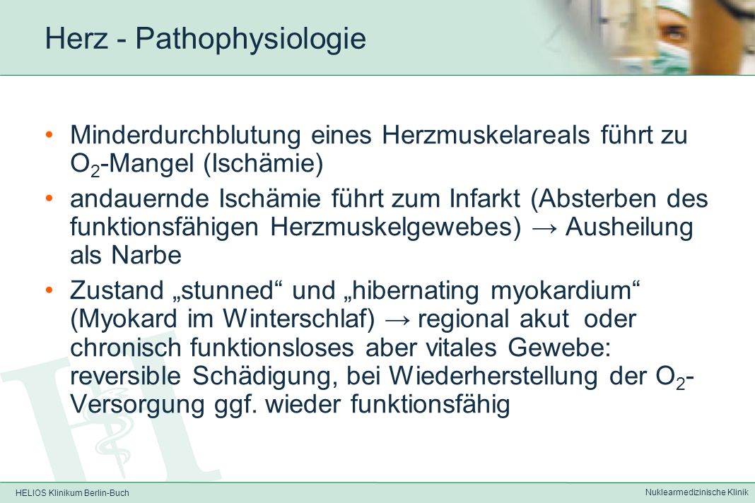 HELIOS Klinikum Berlin-Buch Nuklearmedizinische Klinik Herz – Physiologie funktionelle EndarterienHerzkranzgefäße sind sog.