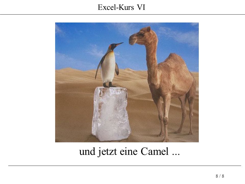 Excel-Kurs VI 8 / 8 und jetzt eine Camel...