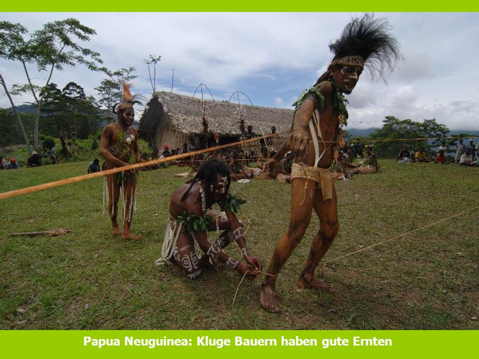 Papua Neuguinea: Kluge Bauern haben gute Ernten