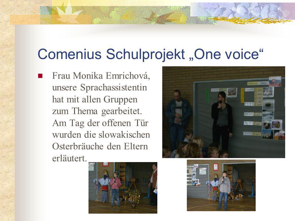 Comenius Schulprojekt One voice Frau Monika Emrichová, unsere Sprachassistentin hat mit allen Gruppen zum Thema gearbeitet.