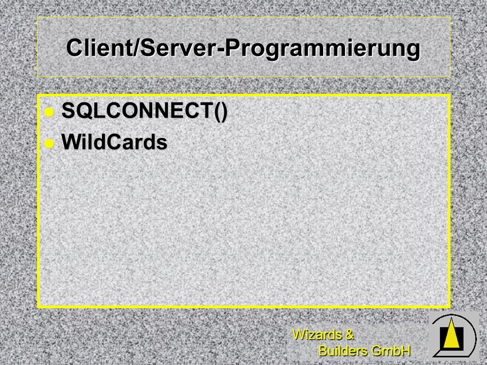 Wizards & Builders GmbH Client/Server-Programmierung SQLCONNECT() SQLCONNECT() WildCards WildCards