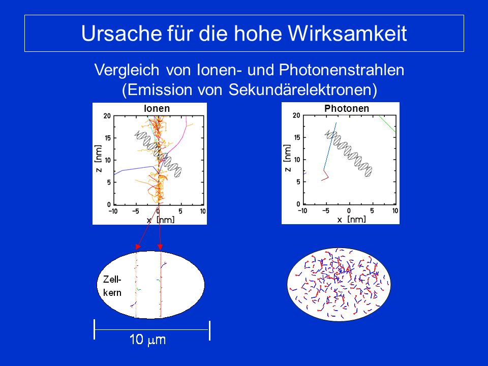 Photonen Ionen Ursache für die hohe Wirksamkeit Vergleich von Ionen- und Photonenstrahlen (Emission von Sekundärelektronen) Zell- Kern