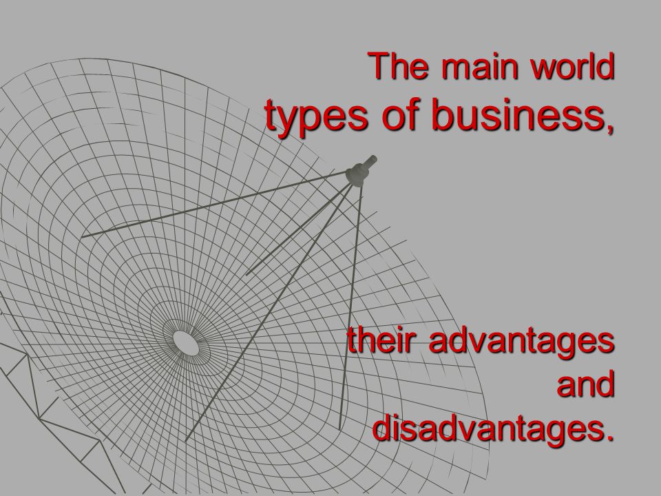 The Main World Types Of Business Their Advantages And Disadvantages Ppt Herunterladen