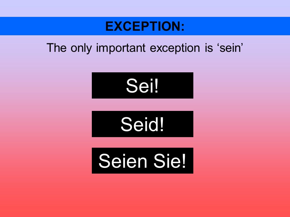 EXCEPTION: The only important exception is sein Sei! Seid! Seien Sie!