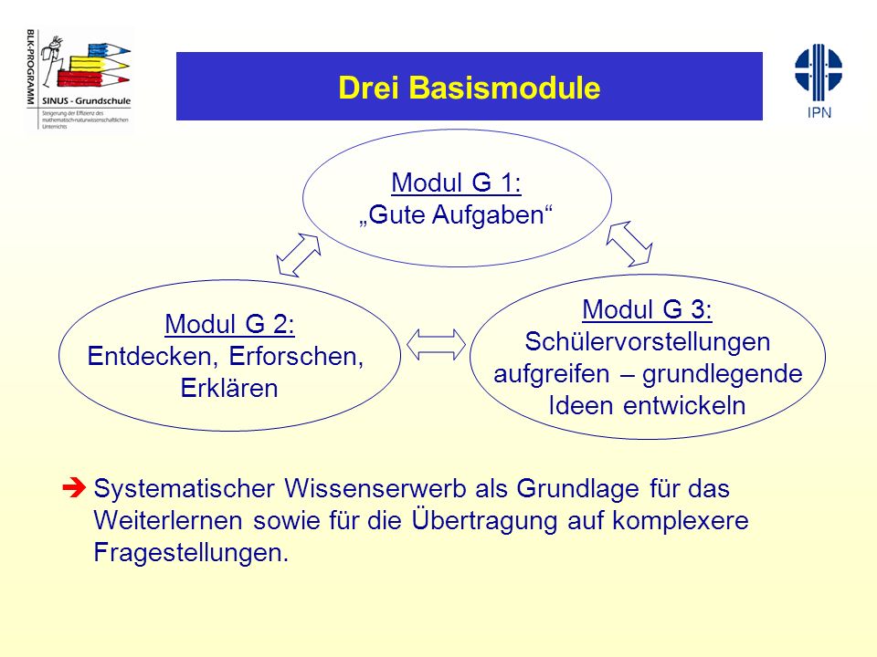Drei Basismodule Systematischer Wissenserwerb als Grundlage für das Weiterlernen sowie für die Übertragung auf komplexere Fragestellungen.