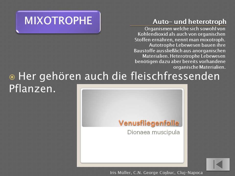Auto- und heterotroph Organismen welche sich sowohl von Kohlendioxid als auch von organischen Stoffen ernähren, nennt man mixotroph.