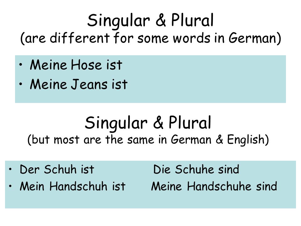 Singular & Plural (are different for some words in German) Meine Hose ist Meine Jeans ist Singular & Plural (but most are the same in German & English) Der Schuh ist Die Schuhe sind Mein Handschuh ist Meine Handschuhe sind