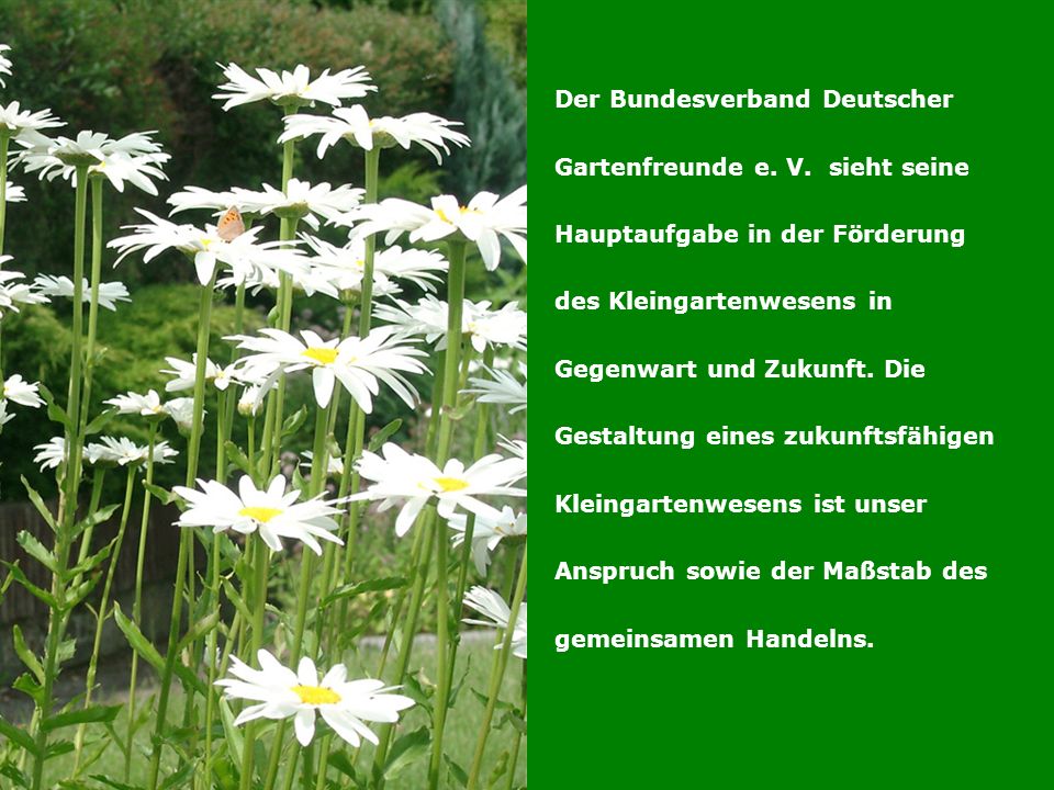 BUNDESVERBAND DEUTSCHER GARTENFREUNDE e.V. Der Bundesverband Deutscher Gartenfreunde e.