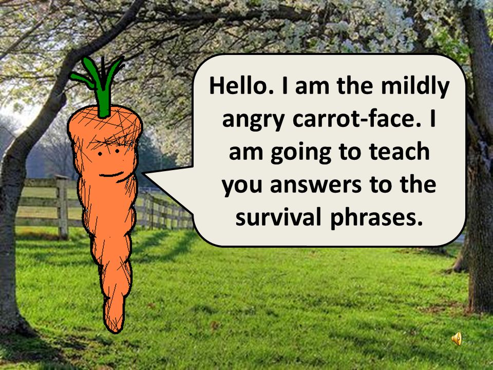 Hello I am the angry potato- head. I have already taught you ten survival phrases.