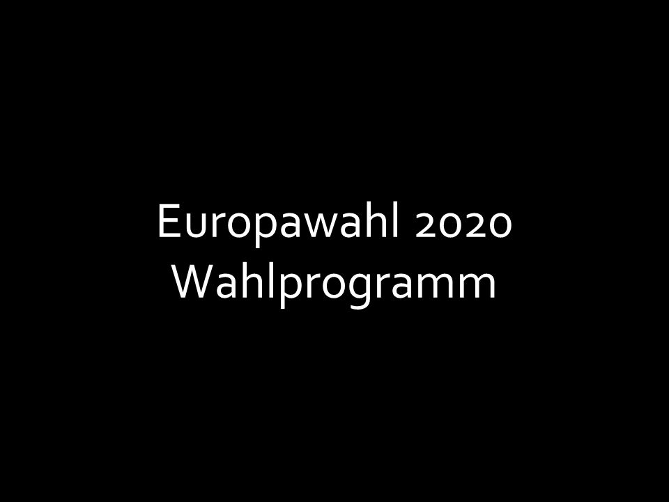 Europawahl 2020 Wahlprogramm