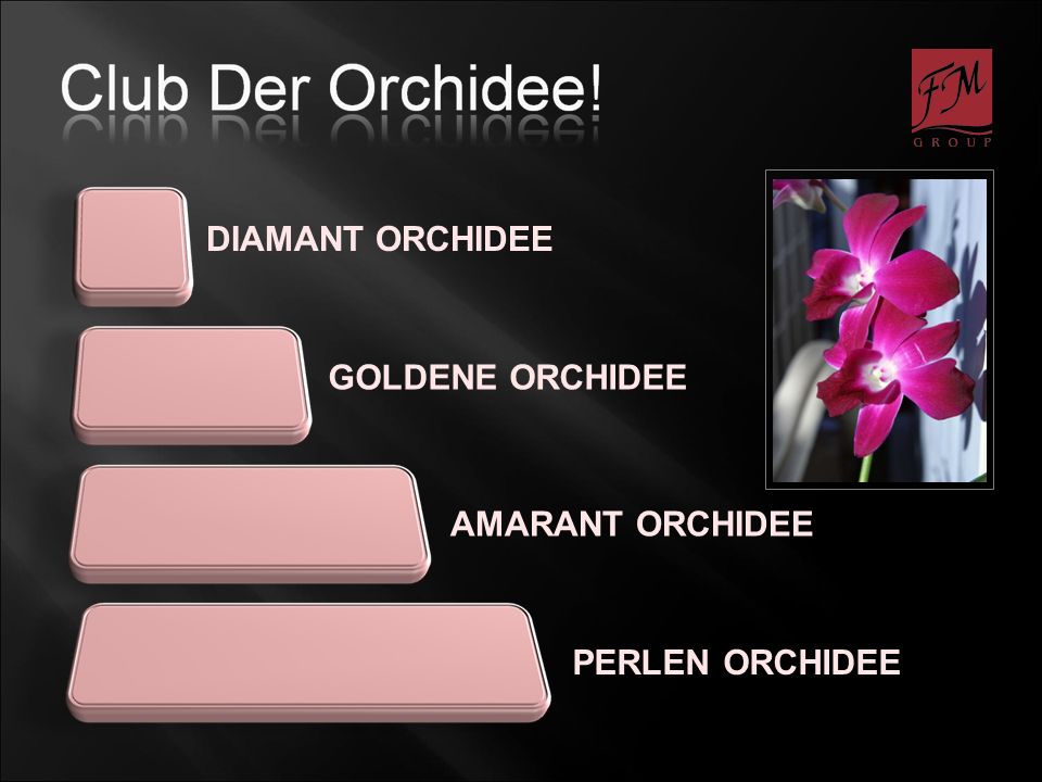 DIAMANT ORCHIDEE PERLEN ORCHIDEE GOLDENE ORCHIDEE AMARANT ORCHIDEE