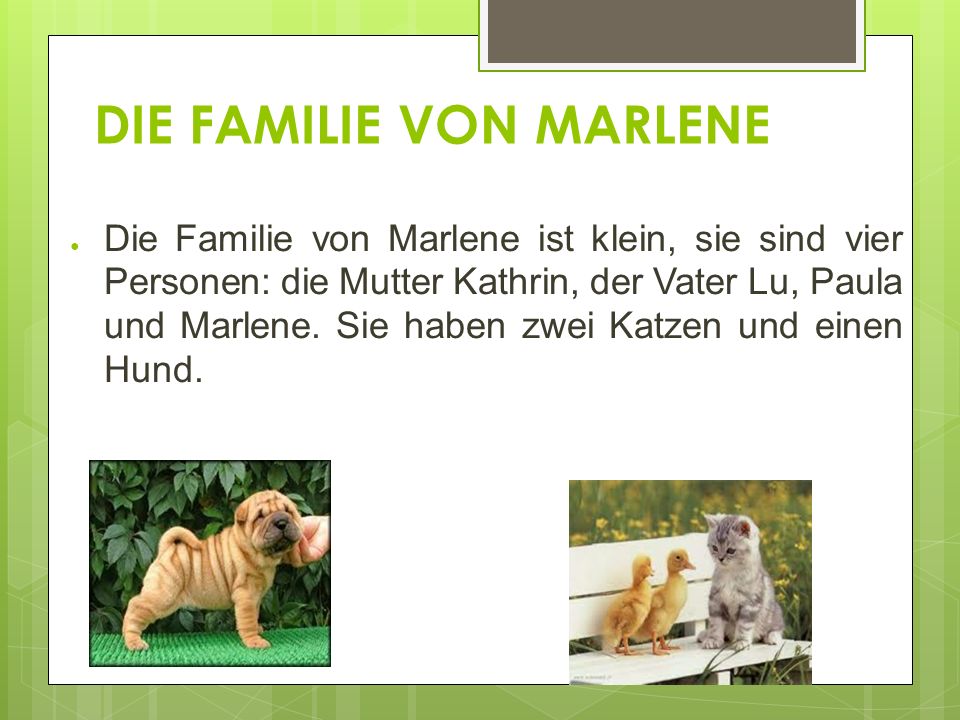 DIE FAMILIE VON MARLENE Die Familie von Marlene ist klein, sie sind vier Personen: die Mutter Kathrin, der Vater Lu, Paula und Marlene.