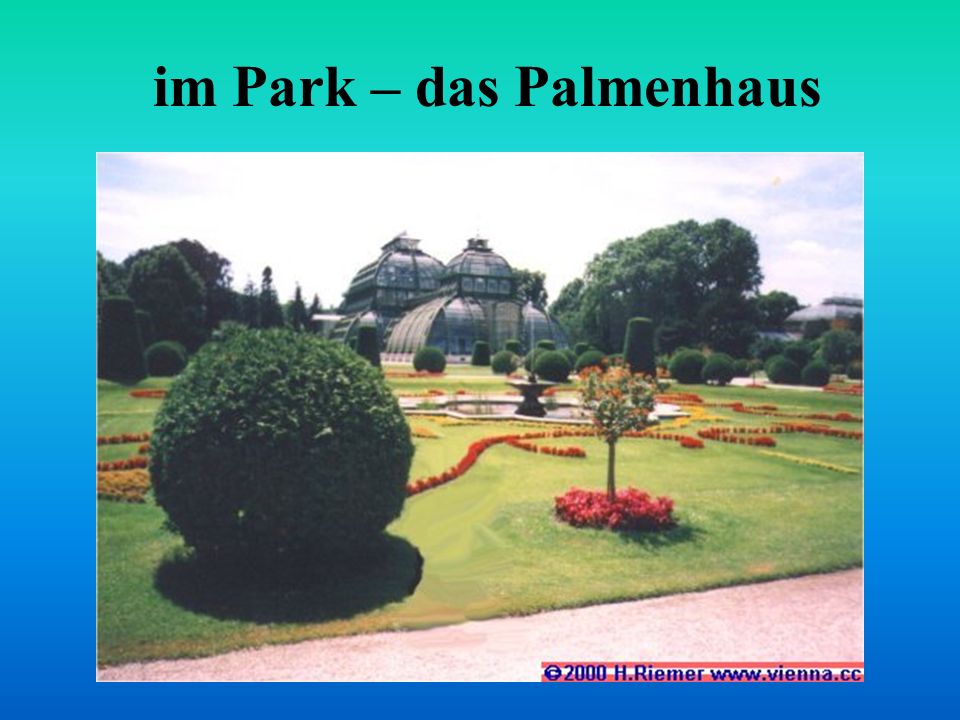 im Park – das Palmenhaus