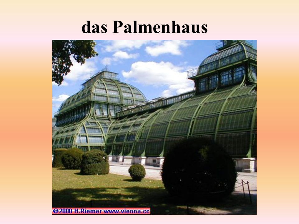 das Palmenhaus