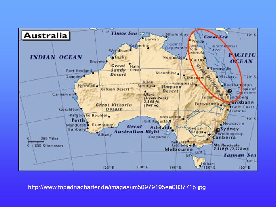 Столица австралии географические координаты 5. Большой Барьерный риф на физической карте. Большой Барьерный риф на географической карте Австралии. Большой Водораздельный риф в Австралии на карте.