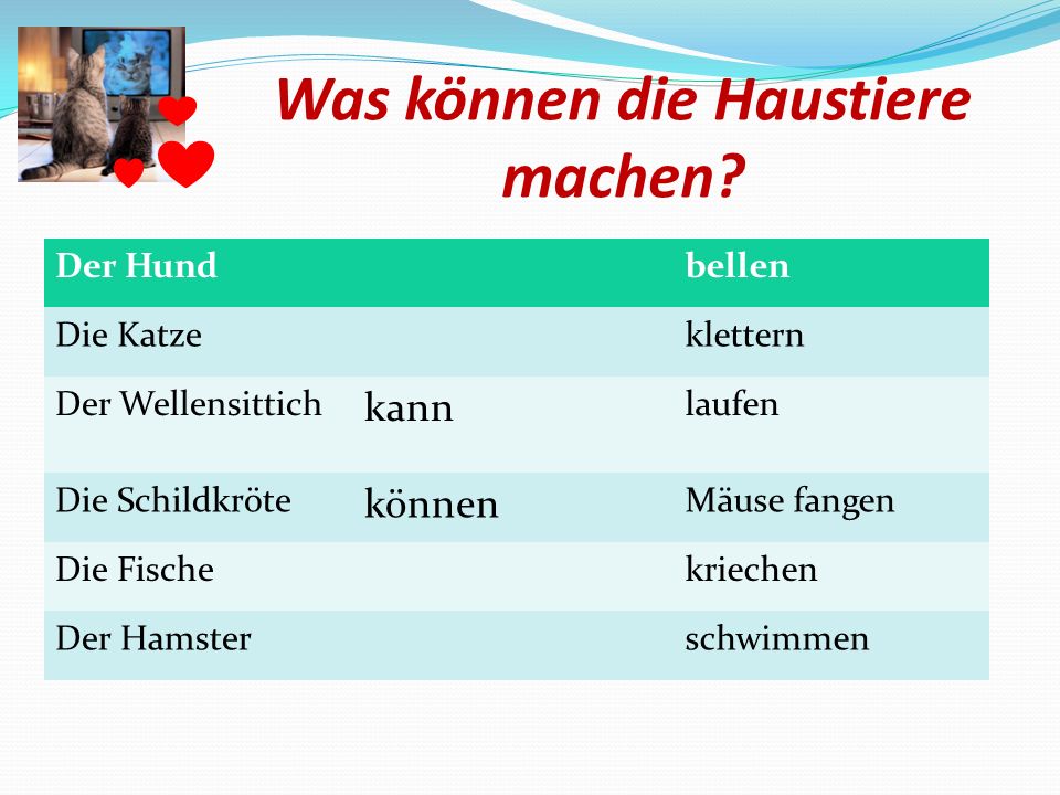 Урок немецкого языка в 5 классе Муниципальное общеобразовате