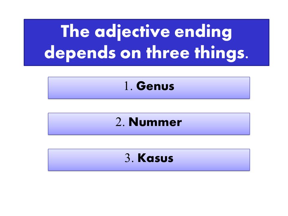 Attributive Adjectives These adjectives PRECEDE a noun and must SHOW declension.
