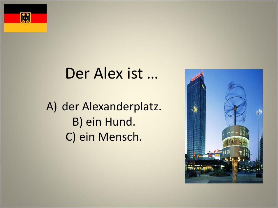Der Alex ist … A)der Alexanderplatz. B) ein Hund. C) ein Mensch.