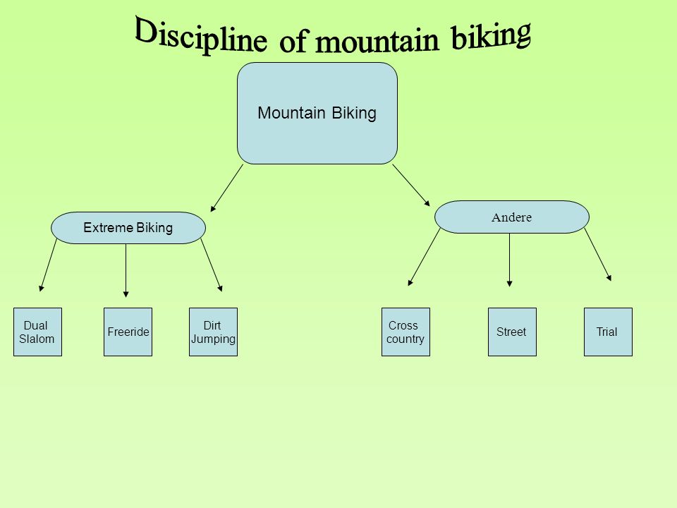 Mountain Biking Extreme Biking Andere Freeride Dual Slalom Dirt Jumping StreetTrial Cross country