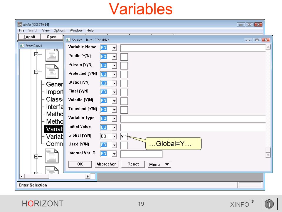 HORIZONT 19 XINFO ® Variables …Global=Y…