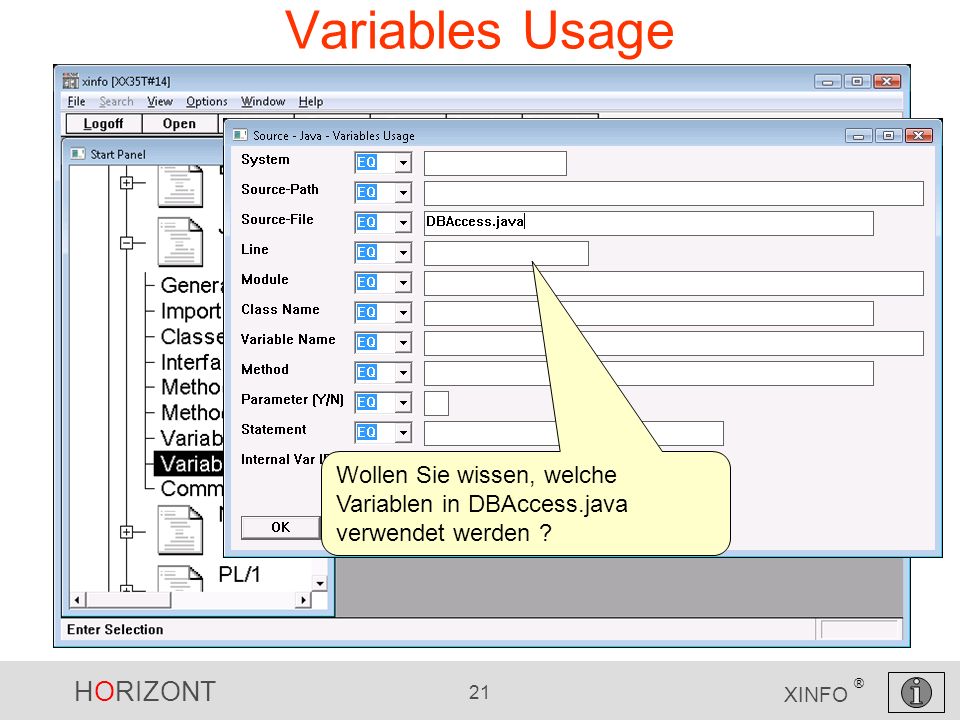 HORIZONT 21 XINFO ® Variables Usage Wollen Sie wissen, welche Variablen in DBAccess.java verwendet werden