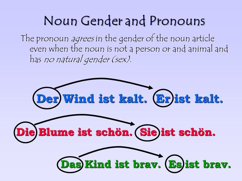 Noun Gender and Pronouns The gender of a noun (der, die, das) determines which pronoun will be used in reference to that noun.