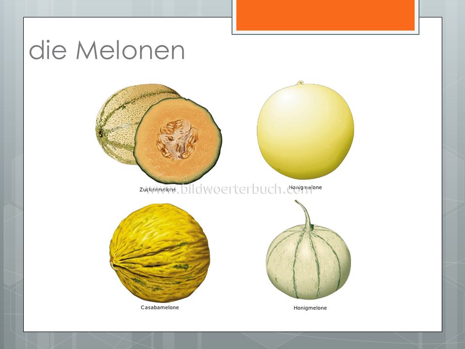 die Melonen