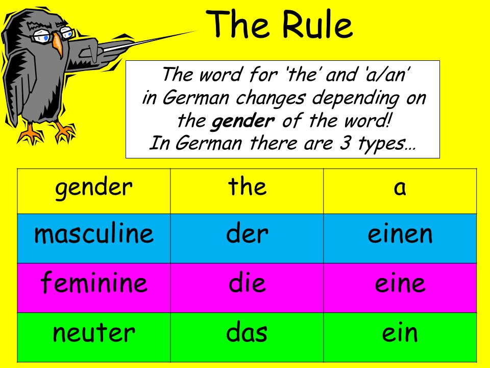 The Rule genderthea masculinedereinen femininedieeine neuterdasein The word for the and a/an in German changes depending on the gender of the word.