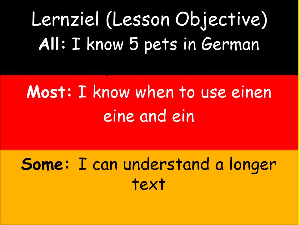 Lernziel (Lesson Objective) All: I know 5 pets in German Most: I know when to use einen eine and ein Some: I can understand a longer text